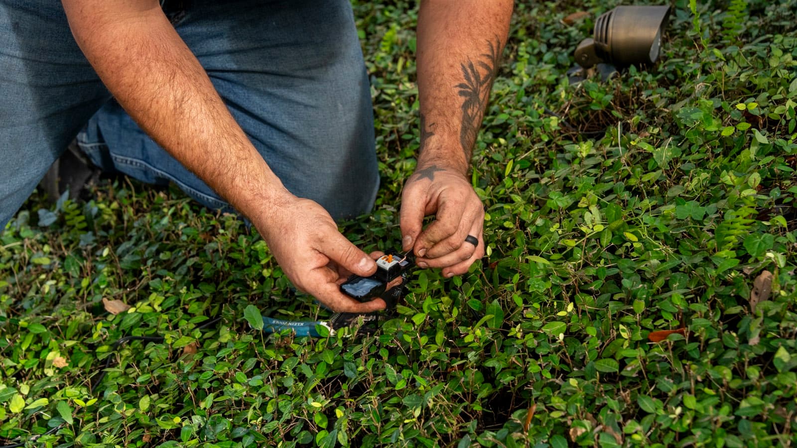 A lighting contractor's hands wiring a low-voltage fixture connector in ground cover, with an installed path light behind