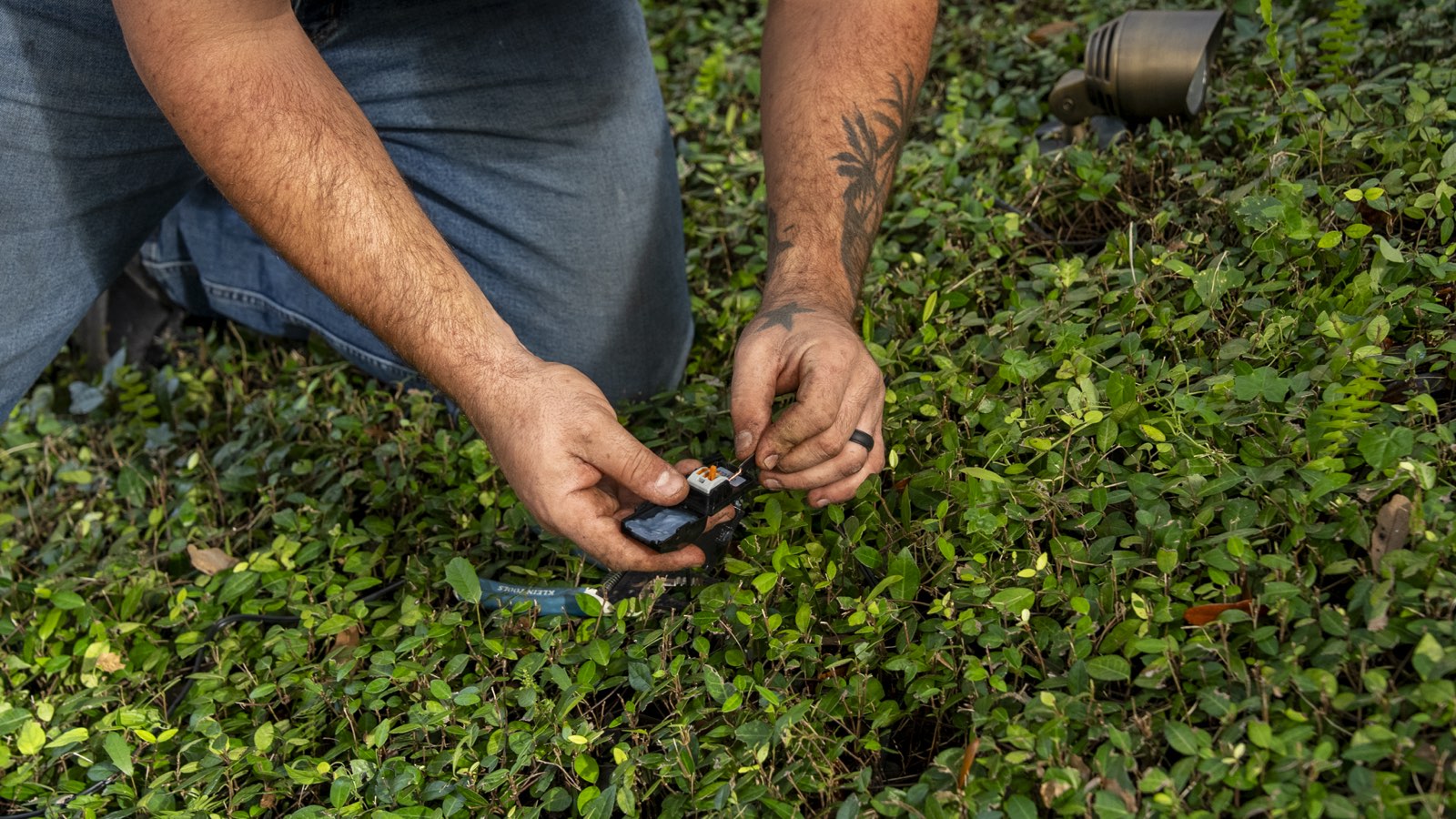 A lighting contractor's hands wiring a low-voltage fixture connector in ground cover, with an installed path light behind